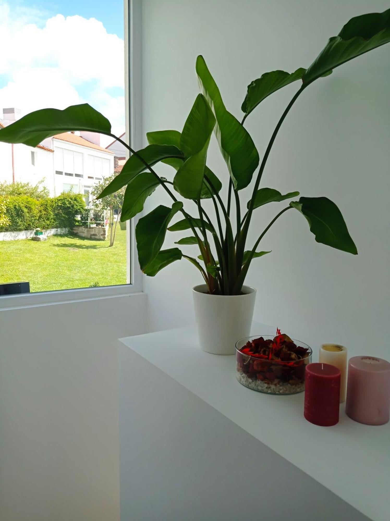 Casas Turisticas Lar Jardin - Parking Privado Santiago de Compostela Exteriér fotografie