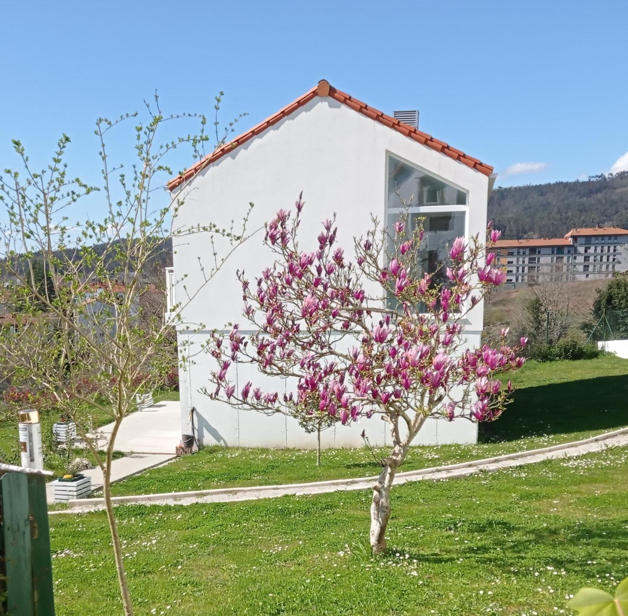 Casas Turisticas Lar Jardin - Parking Privado Santiago de Compostela Exteriér fotografie