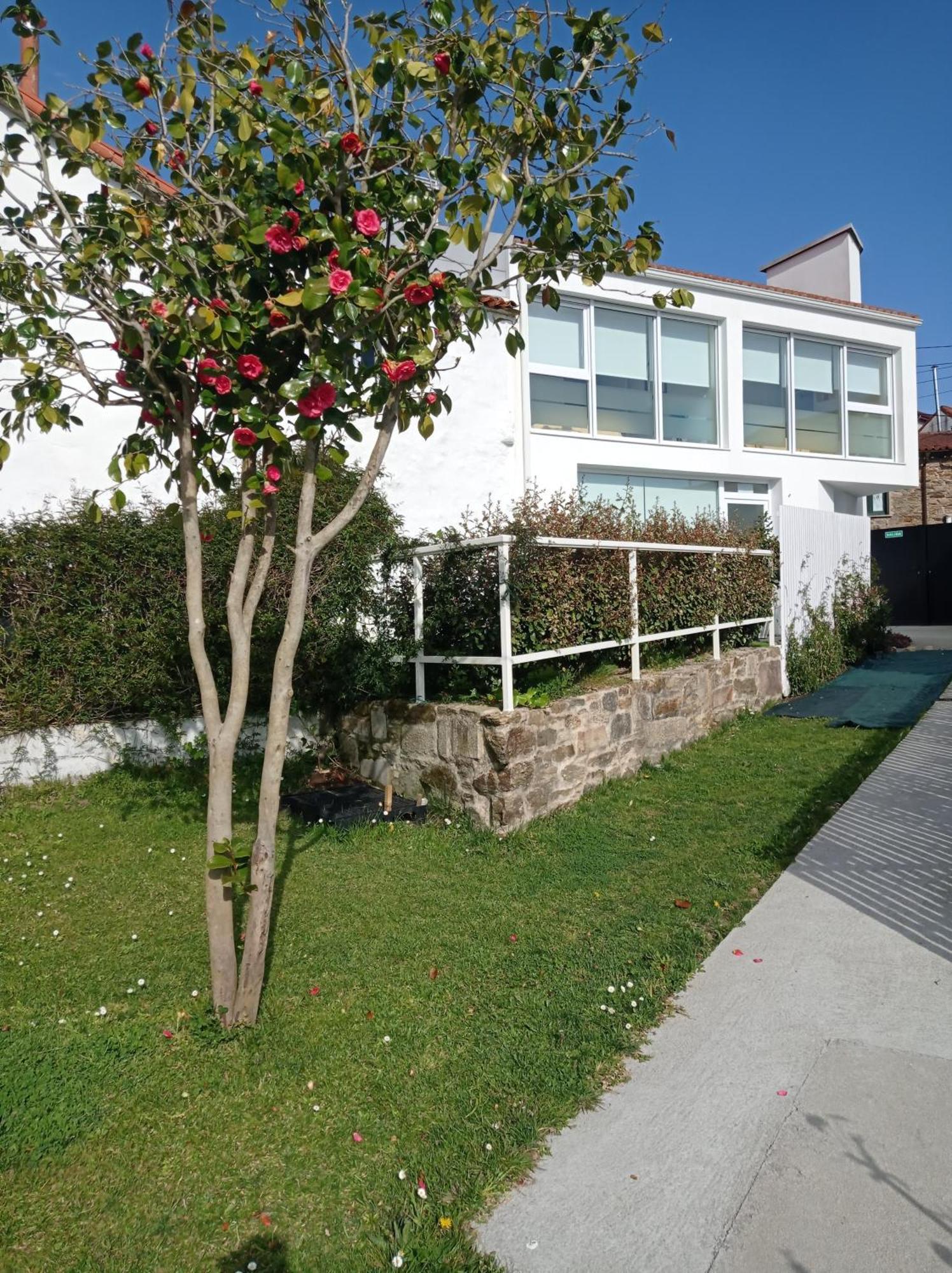 Casas Turisticas Lar Jardin - Parking Privado Santiago de Compostela Exteriér fotografie